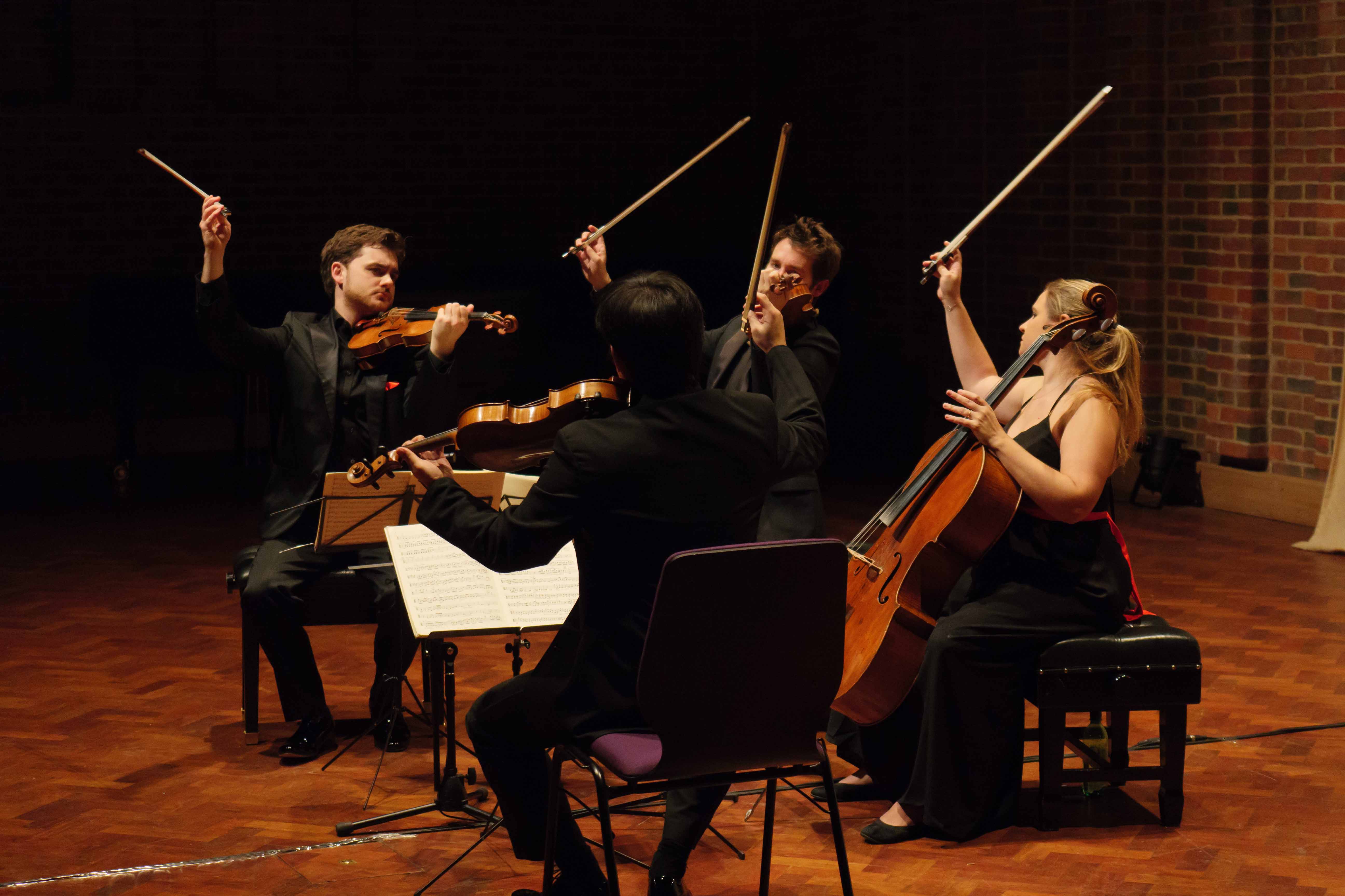 Family Concert with the Piatti String Quartet Chichester Cathedral